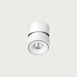 Kinetic Small Surface Downlight 